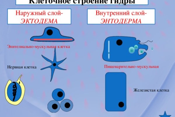 Украли аккаунт на кракене что делать