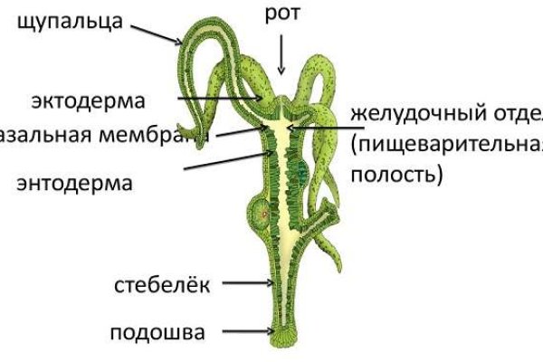 Кракен что там продают