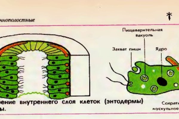 Kraken что это за сайт